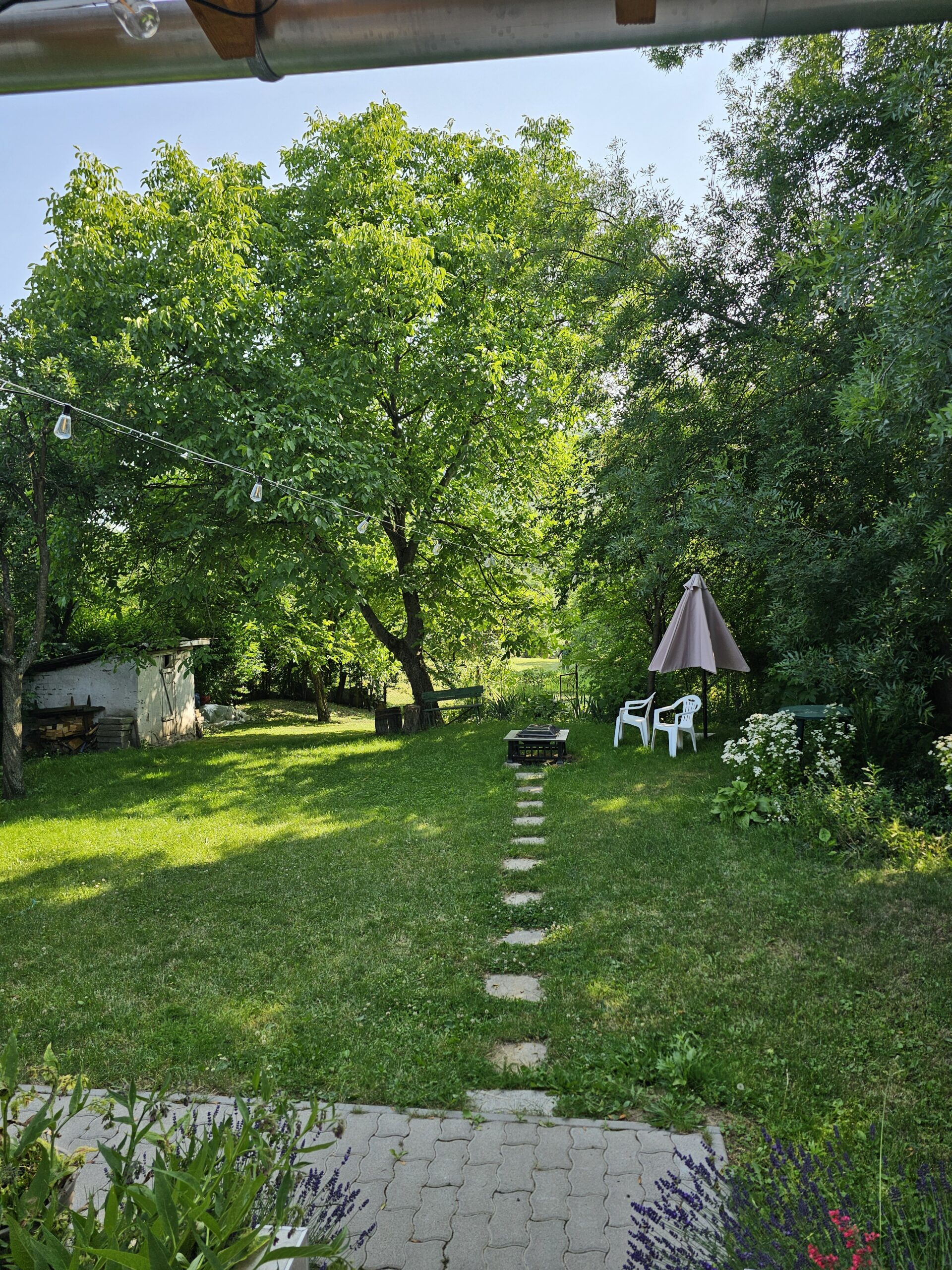 Birslak kertje nyáron, zárt udvar, fákkal